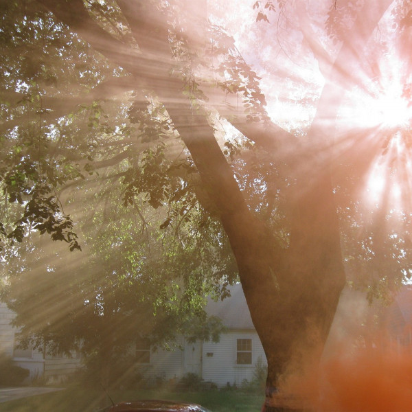 Hitzeschutz f&uuml;r vulnerable Personengruppen